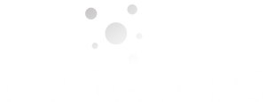 BankLabs Logo