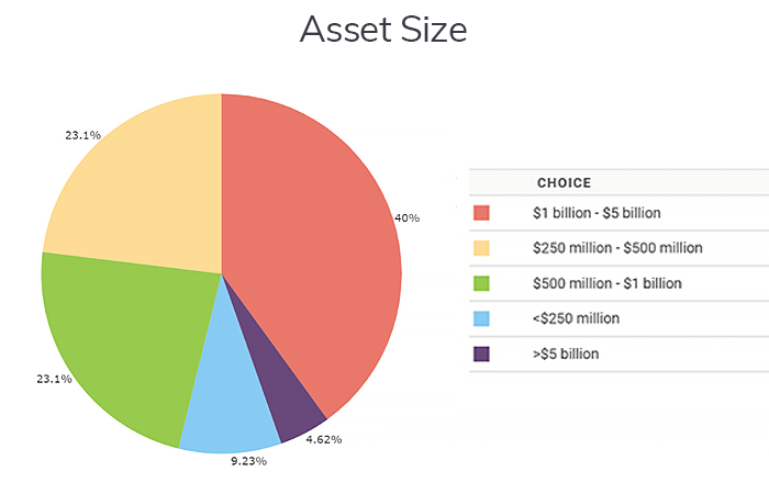 Asset sizes of institution weighing in on fraud practices