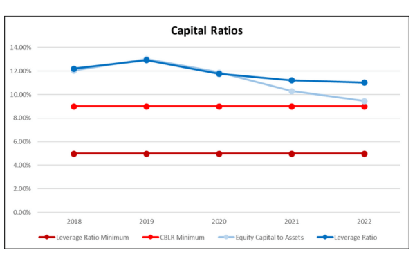 banking report for capital risk management