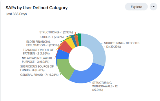 Report showing Suspicious Activity Reports by type